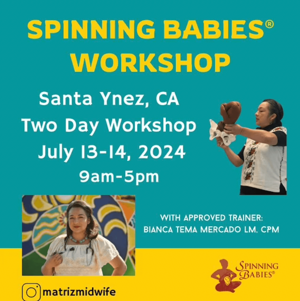 Spinning Babies 2-Day Workshop image