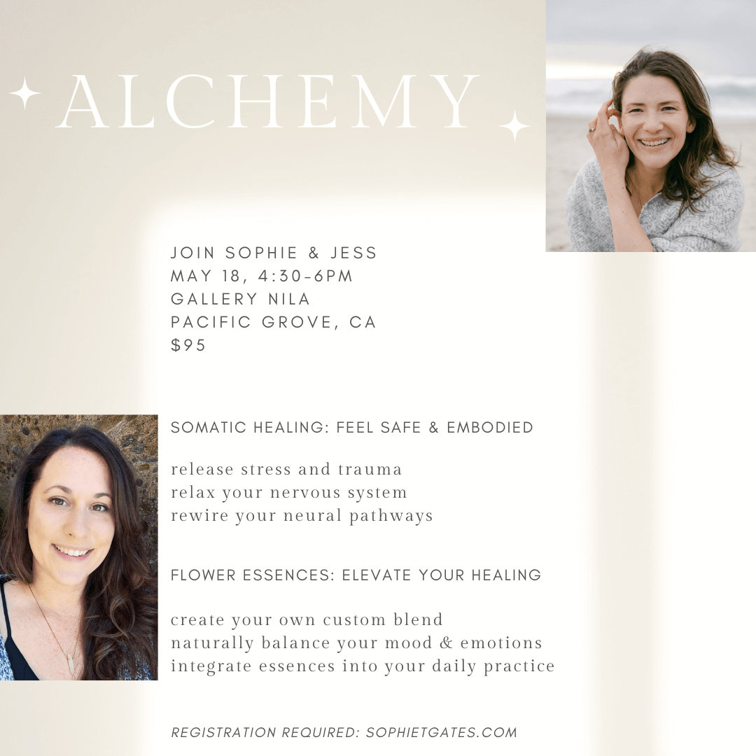 Alchemy: Somatic Healing and Flower Essence Workshop image