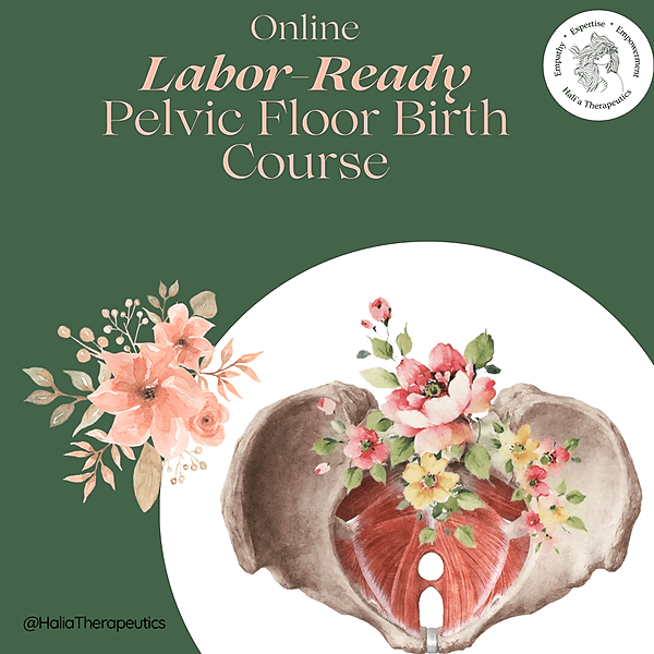 Labor-Ready Pelvic Floor: Womb to World Part 1